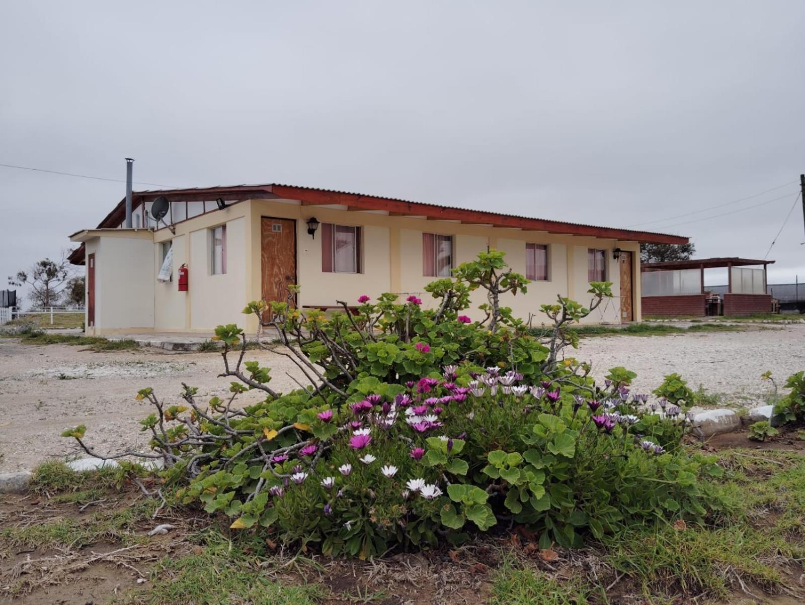 Aparthotel Santa Maria Punta de Choros Værelse billede